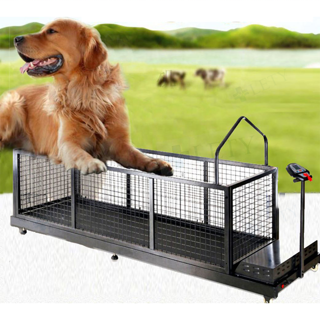 Pet Treadmill Electric Big Dog Treadmill Dog Training Equipment for Pet Training and Rehabilitation