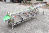 Kersen sorteermachine met roestvrijstalen rollers voor passievrucht, pruim, jujube, sinaasappel en kleine bessen.