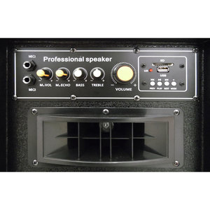 Web Professional <b>Speaker</b> 100W Max Amplified With <b>Usb</b> And Bluetooth - Product Image 3