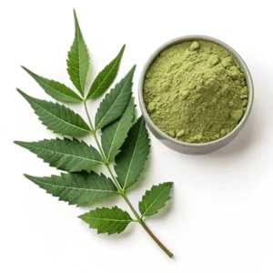 Poudre de feuilles de Neem finement broyée en vrac, poudre botanique verte de qualité supérieure pour les soins du visage, les soins capillaires, les savons faits à la main, les produits de bain - Product Image 2