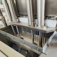 Machine d'injection de saumure industrielle et commerciale automatique pour la transformation de la viande, haute capacité pour les viandes de poulet