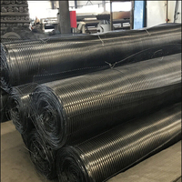 Grille de renforcement de sol en polypropylène HDPE PP uniaxiale pour la protection des pentes