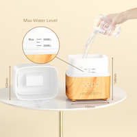 Diffuseur ultrasonique d'huile essentielle avec haut-parleur BT, humidificateur d'air à ml, voyants LED