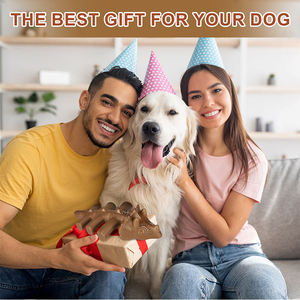 <strong>Benebone</strong> <strong>Wishbone</strong> 4PCS Durable Real <strong>Bacon</strong> Beef <strong>Flavor</strong> Food Grade Dog <strong>Chew</strong> Nylon Bone <strong>Toy</strong> for Aggressive Chewers