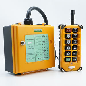 Grúa aérea industrial anticorrosión con control remoto, polipasto de cuerda de alambre de entrega rápida, con control - Product Image 5