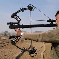 Arc à poulies Piaoyu, arc à flèches et billes d'acier, double usage, poids de tirage réglable 30-70lbs, équipement de chasse sportive en plein air
