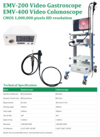 OSCAT Veterinary Equipment Vet Gastroscope 8.0mm CMOS | pour l'inspection bronchique et nasale chez les petits animaux
