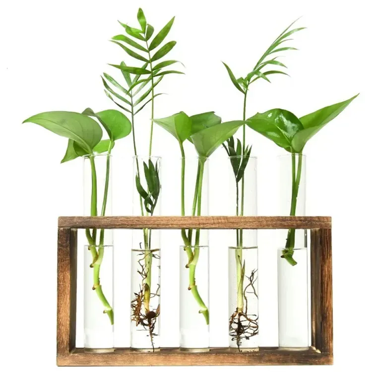 Tube Planter with Wooden Stand, Glass Planter Propagation Station Test Tube Vase Flower Pots for Hydroponic Plants