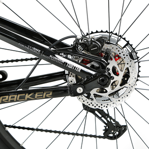 <span class=keywords><strong>Twitter</strong></span>-Bicicleta de Montaña de doble suspensión, 29er 27,5, eje pasante de aleación de aluminio, B00st, suspensión completa - Product Image 6