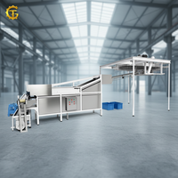 Machine professionnelle de fabrication de nouilles coréennes, de nouilles ramen et de pâtes, machine industrielle automatique pour la production de nouilles en bâtonnets
