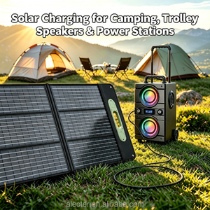Chargeur solaire monocristallin pliable 100W, panneau solaire à haute efficacité 23%, couleur personnalisable, sortie élevée pour une utilisation en extérieur - Product Image 2