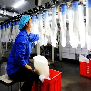 Machines pour la fabrication de gants jetables, gants PE, 100 pièces, Servo, moteur d'ordinateur, pièces électriques d'entraînement en chine, vente technique, Siemens, plastique vidéo