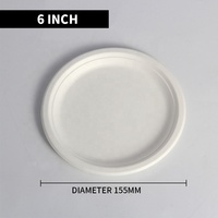 100 pièces d'assiettes jetables écologiques en bagasse de canne à sucre de 6 pouces pour le camping