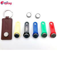 Carte RFID iutton colorée TM1990/RW1990/TM01, support en plastique, vente en gros, livraison gratuite