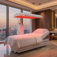 Panneau de luminothérapie LED infrarouge proche 660nm 850nm pour usage commercial, domestique, en salon et spa, biomodulation corporelle complète, stimulation ATP