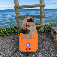 Planche de sauvetage intelligente à grande vitesse 10KW, propulsée par jet d'eau électrique, 55km/h, charge utile 100kg, autonomie 60min pour mer, lac, rivière