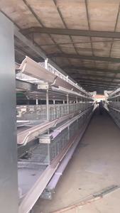 Nieuwe Staat H-Type Kippenhok Ei-Leggende Kippenkooi Kwartel Kippenbatterij Kooi Voor Pluimveebedrijf En Thuisgebruik In Zambia - Product Image 5