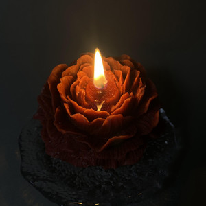 Velas Aromáticas de Cera de Soja de Alta Calidad OEM con Aroma a Rosa y Peonía para Decoración del Hogar, Fiestas, Bodas, Regalos de Cumpleaños - Product Image 4