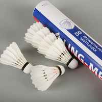 Volants de badminton Wecan bon marché en plumes de canard au Pakistan