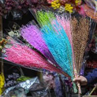 Vente en gros usine de fleurs naturelles préservées à cent tiges pour la décoration intérieure, les mariages et les arrangements de bouquets