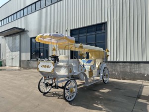 Carruaje de caballos clásico eléctrico de gran venta, asiento suave, carruaje de caballos real, turismo, carruaje romántico sin caballos a la venta - Product Image 1
