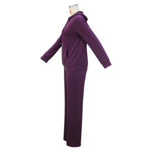 New Solid <b>Colour</b> Stylish Casual Hooded Sweatshirt Long Pants <b>Set</b> for Women Fashion - Product Image 5