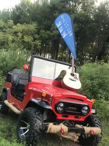 Mini Willys UTV de 110cc Aprobado por Fábrica, Motor de Gasolina Automático de 4 Tiempos, 4x4 2WD, Certificado por EPA/EEC para Niños y Adultos con 2 Asientos - Product Image 4