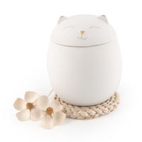 Urna Funeraria para Mascotas de Cerámica Miniatura, Lista para Enviar, 150ml 500ml, con Diseño de Huella de Gato, Urnas y Ataúdes para Mascotas de Primera Calidad