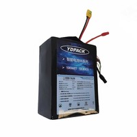 YDPACK SS2172-1225 Kepadatan Energi Tinggi 320Wh/kg, 12S25Ah