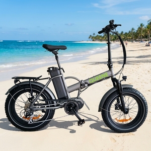Bicicleta Eléctrica Plegable QUEENE Pequeña de 20 Pulgadas con Neumáticos Anchos y Motor Central de 500 W - Product Image 5
