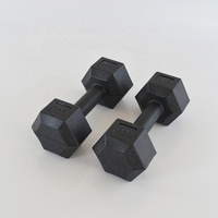 Mancuernas Hexagonales de Cemento y Goma de Protección Ambiental para Entrenamiento de Fuerza y Fitness de Entrega Rápida PINJIAN