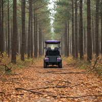 Voiturette de golf électrique 4 places pour adultes, homologuée pour la route, avec pare-brise pliable, prix compétitif et personnalisable pour les terrains de golf