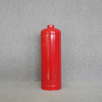 Accessoires pour extincteur à poudre sèche Youke 1kg/2.5kg/4.5kg/9kg Bouteille en acier peinte en rouge Fabriqué à Ningbo