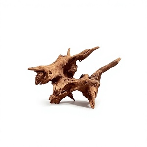 PKY En gros Bois de Cholla non toxique, racine de <span class=keywords><strong>cactus</strong></span> écologique pour aquarium de crevettes, vivarium, aménagement paysager et boîte de vie - Product Image 5