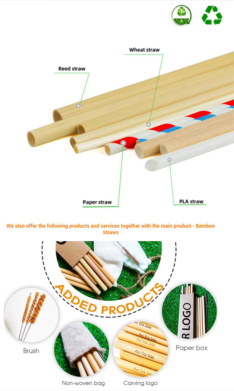 Bamboo Disposable Biodegradable Reed Straw Straws For Hot Drinks