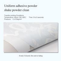 Poudre d'impression DTF TPU de qualité supérieure 1 kg, blanche/noire, poudre adhésive DTF