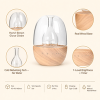 Diffuseur d'arômes en bois véritable en forme d'œuf, 30 ml, lumière RGB 7 couleurs, minuterie, USB-C, cadeau, maison, chambre, OEM, noyer rouge, bois naturel, 50 pièces