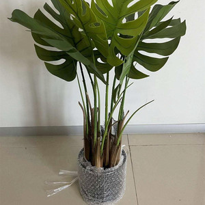Pas cher <span class=keywords><strong>prix</strong></span> en gros vraie touche artificielle grandes feuilles polyester plante des arbres pour la décoration intérieure et extérieure bonsaï - Product Image 6