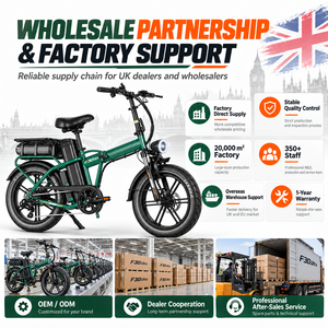 จักรยานไฟฟ้า QMWHEEL F30 Ultra UK Warehouse E Bike ขนาด 20 นิ้ว พับได้ กำลังไฟ 250W 48V แบตเตอรี่คู่ 70Ah ขายส่ง - Product Image 6