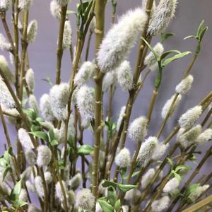 Ostern Silber Weiden frucht Simulations pflanze Silber Weiden zweige Muschi Weide Blumen arrangement Zubehör Dekoration - Product Image 3