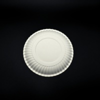 Assiettes en papier de 9 pouces non enduites, jetables, pour usage quotidien, 9 pouces, en vrac, blanches, 500 unités