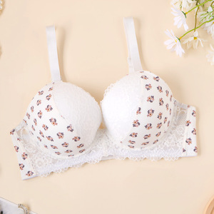 <span class=keywords><strong>Reggiseno</strong></span> Push-Up con Ferretto Taglia Grande <span class=keywords><strong>Bianco</strong></span> Sexy con Stampa Floreale Gotica in <span class=keywords><strong>Pizzo</strong></span> per Donne - Product Image 3