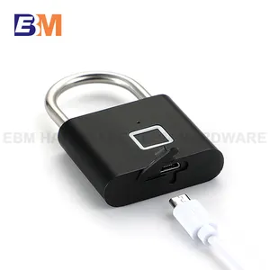 Vendita calda elettronica piccola chiave Smart serratura impermeabile per impronte digitali lucchetto in lega di zinco con impronta digitale biometrica