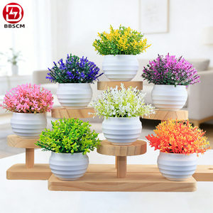 Ensembles <span class=keywords><strong>de</strong></span> <span class=keywords><strong>mini</strong></span>-plantes succulentes artificielles en plastique en gros, fausses plantes, cadeaux, décorations d'intérieur - Product Image 1