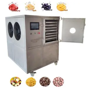 Máquina liofilizadora de doces secos a vácuo, spray de alimentos doces, secador a vácuo para uso doméstico e industrial, 25 kg