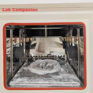 Chambre à température programmable haute et basse température de 80 L, <span class=keywords><strong>machine</strong></span> d'essai environnementale industrielle - Product Image 6