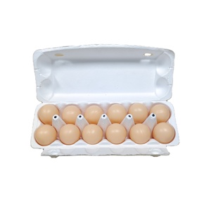 Vente en gros de cartons <span class=keywords><strong>d</strong></span>'œufs compostables écologiques 12 pièces pâte rectangulaire moulée au Canada 1mm <span class=keywords><strong>d</strong></span>'épaisseur papier estampage manutention <span class=keywords><strong>d</strong></span>'impression - Product Image 1