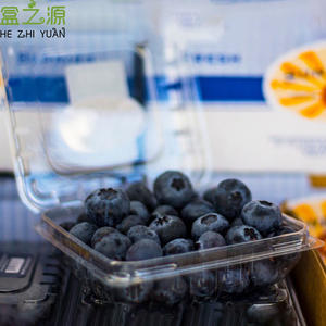 Caja de Embalaje de Plástico Transparente Personalizada para Frutas Frescas, Verduras, Arándanos, Fresas, Naranjas y Manzanas - Product Image 6