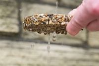 Résines liantes en polyuréthane perméables à l'eau LSY 1:1 pour les revêtements, les allées, les pavés, les fossés d'arbres, les chemins de jardin, les terrasses de piscine