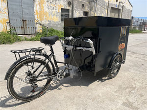 Vélo Cargo à Roues pour Street Food, Vélo de Livraison, Remorque à Crêpes, Chariot Tricycle avec Congélateur d'Exposition - Product Image 2